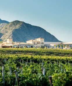 Cafayate: Wine, Scenery, and Art in the Calchaquí Valleys