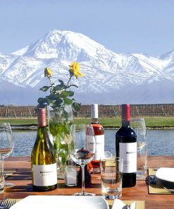 Three Days in Mendoza: Mountains, Flavors, and Wine